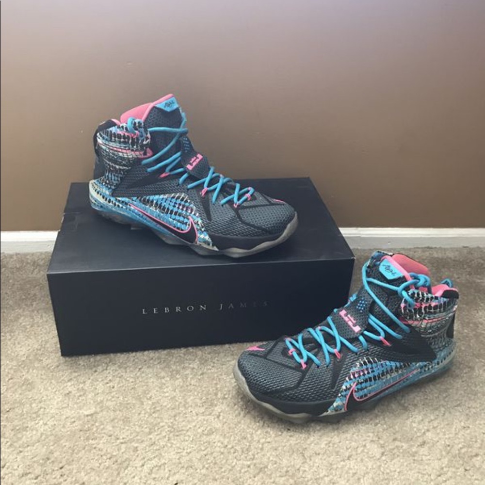 Lebron 12 chromosomes